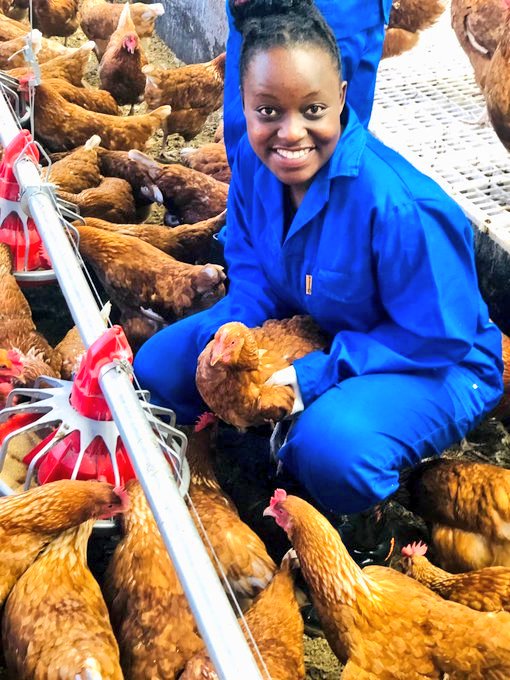 ForgeWealthPro tweet media