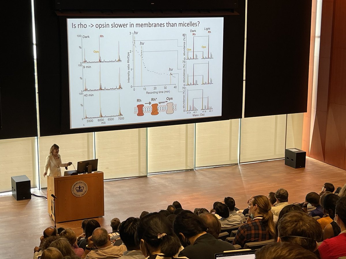 Day 2 has started at the ⁦<a href="/comppaa/">COMPPÅ</a>⁩ symposium.
Carol Robinson talking about lipid regulation of membrane proteins.