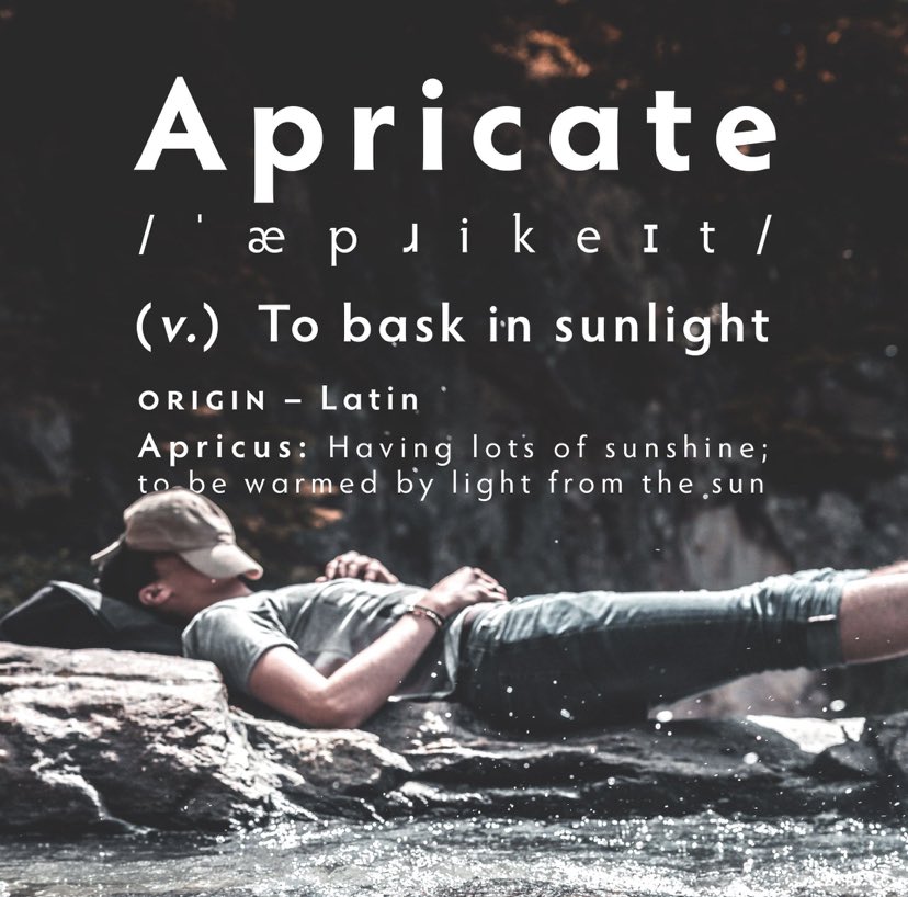 Gm gm!🌱 

who’s getting sun today?☀️