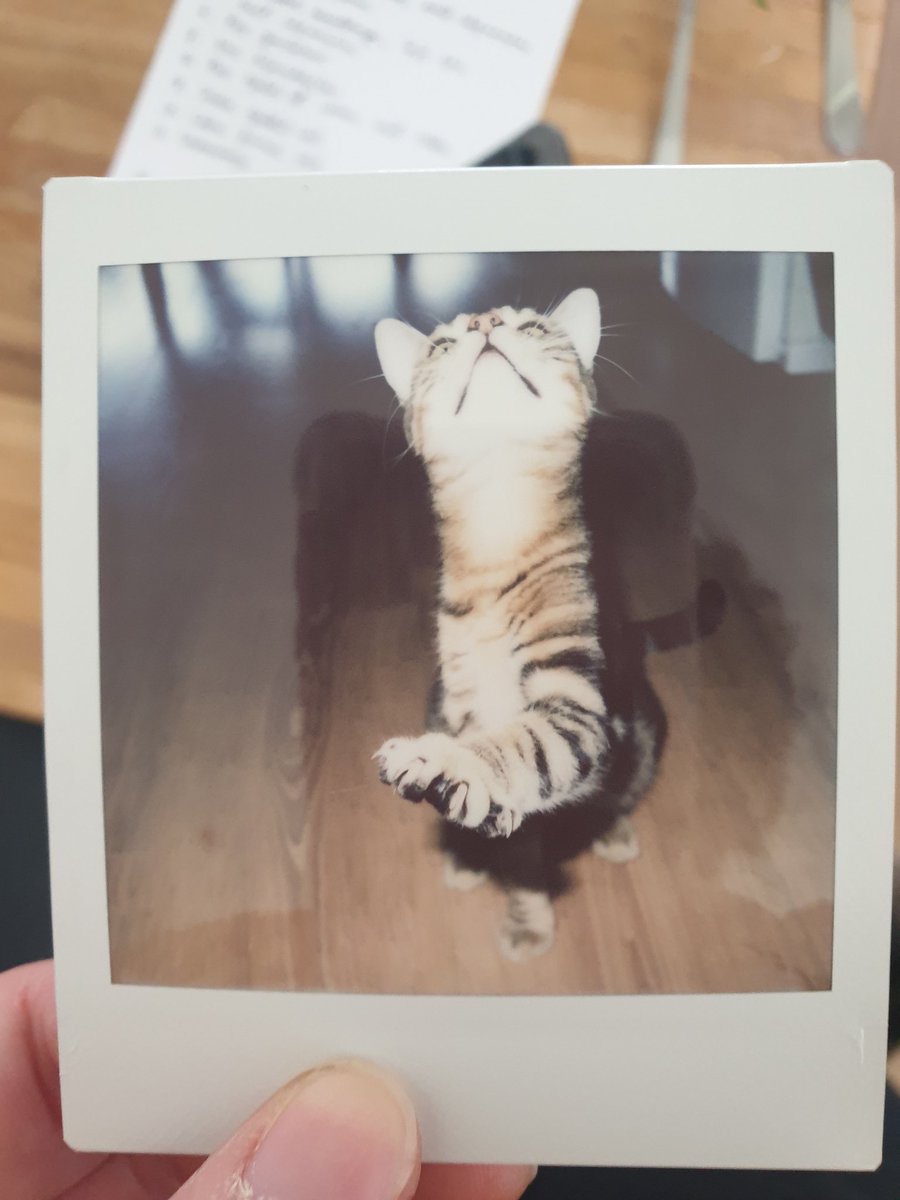 Þessi instax mynd af Tópasi hehehe
