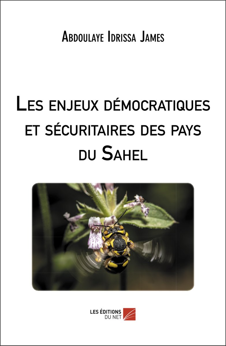 JDM_franco's tweet photo. Découvrez l'#extrait de l'#ouvrage "Les enjeux démocratiques et sécuritaires des pays du Sahel" de Abdoulaye Idrissa James #JDM22 https://t.co/R8N0kSu5OA https://t.co/dpG4Xvc76S