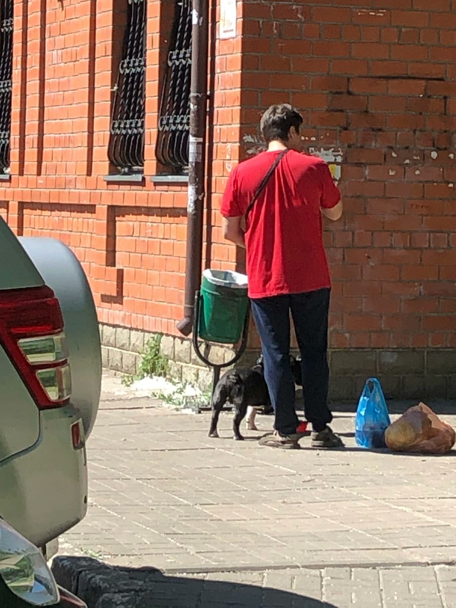 fixinded's tweet image. Стоит отвернуться как скот начинает что то жрать из рукава. Думает не увижу