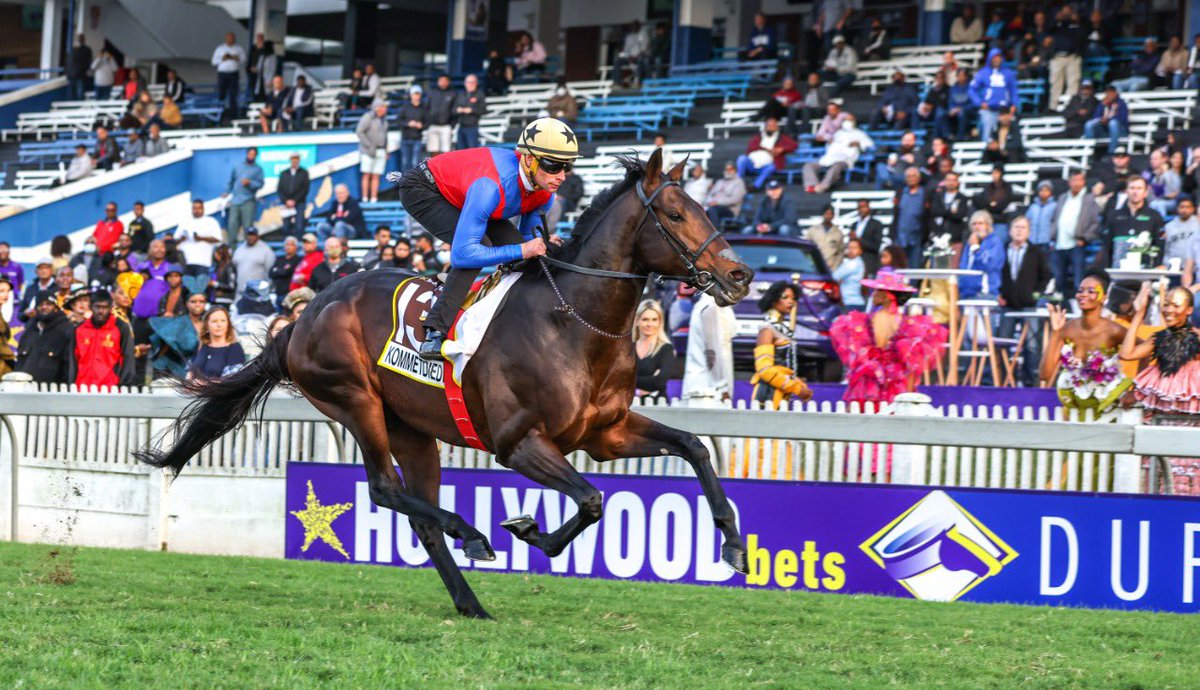 MichelleRix1's tweet photo. #Kommetdieding loving every minute of his @Hollywoodbets Durban July gallop this morning under jockey @gavlerena07 https://t.co/kripYzgrHb