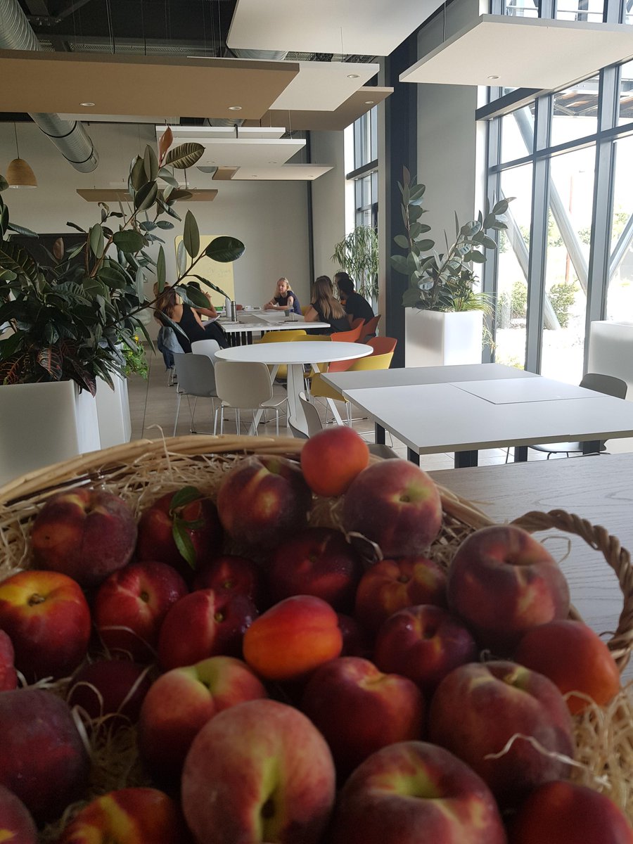 Prodeval_biogas's tweet photo. It's Wellness Week at #PRODEVAL!
We had the opportunity to participate in various trainings and activities related to #well-being at work.
A week that allowed us to improve our #health and our #QualityOfLifeAtWork.
Great success with the teams
#teamcohesion #workbalance #worklife https://t.co/WecVaMzHhW