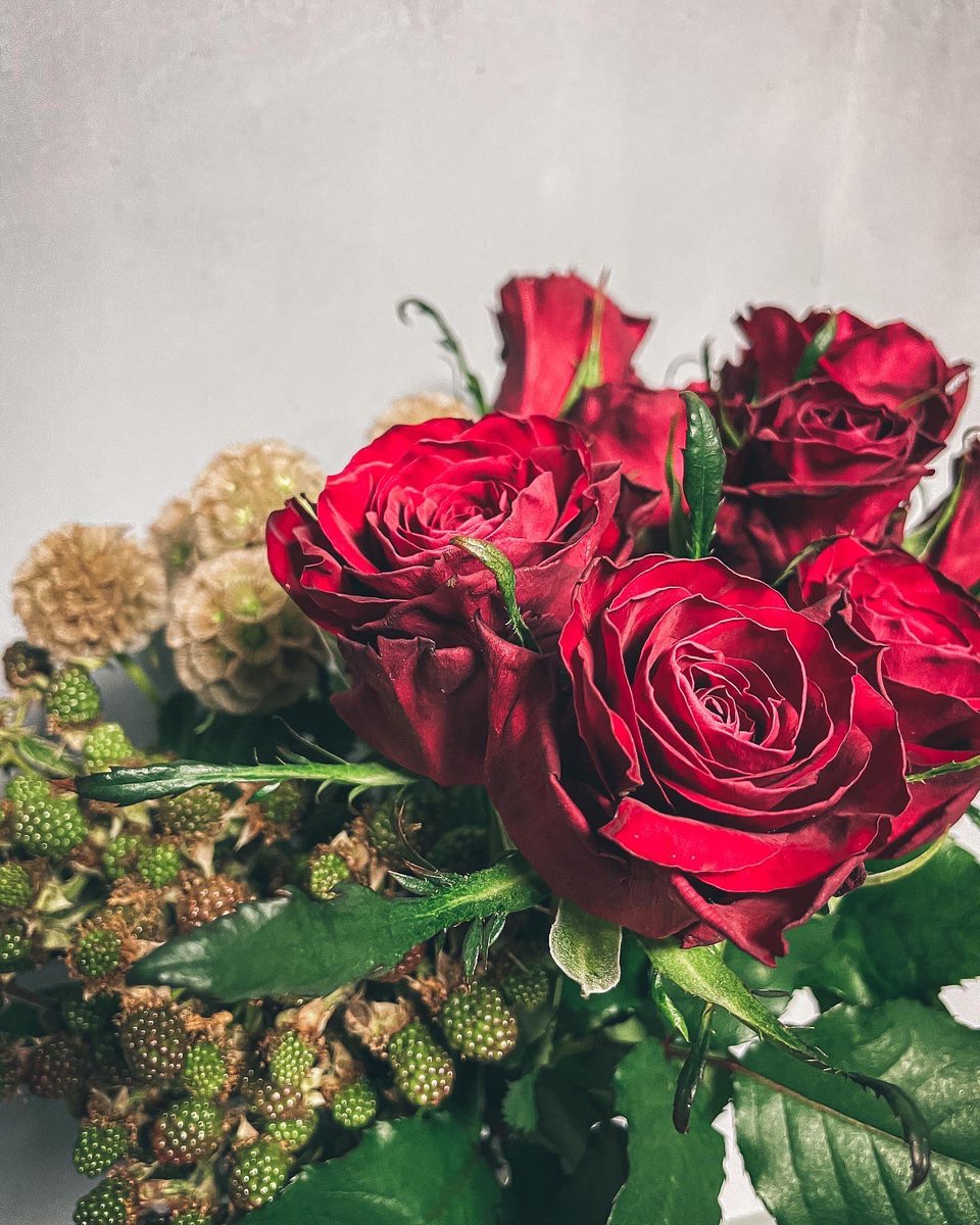 Kissy_SYiiiREAL's tweet photo. Cool  Rose🥀 https://t.co/yZaTL0xXzJ