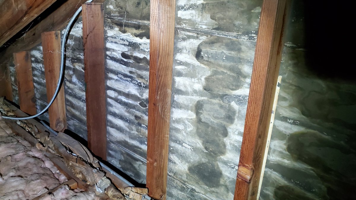 Extreme mold condition in this attic space#watchung  #homeinspector
 #warren #summit #shorthills #berkeleyheights #NJ  #homeinspection #westfield #residential #Google #Millburn #northplainfield  #TerraHomeInspections #socialmedia #realestate #bridgewater  #website #mold #attic