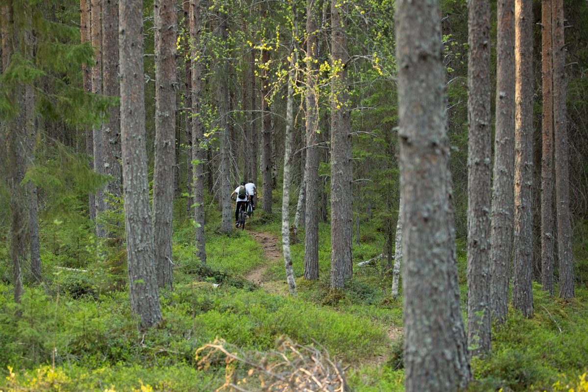 oulunkaupunki photo