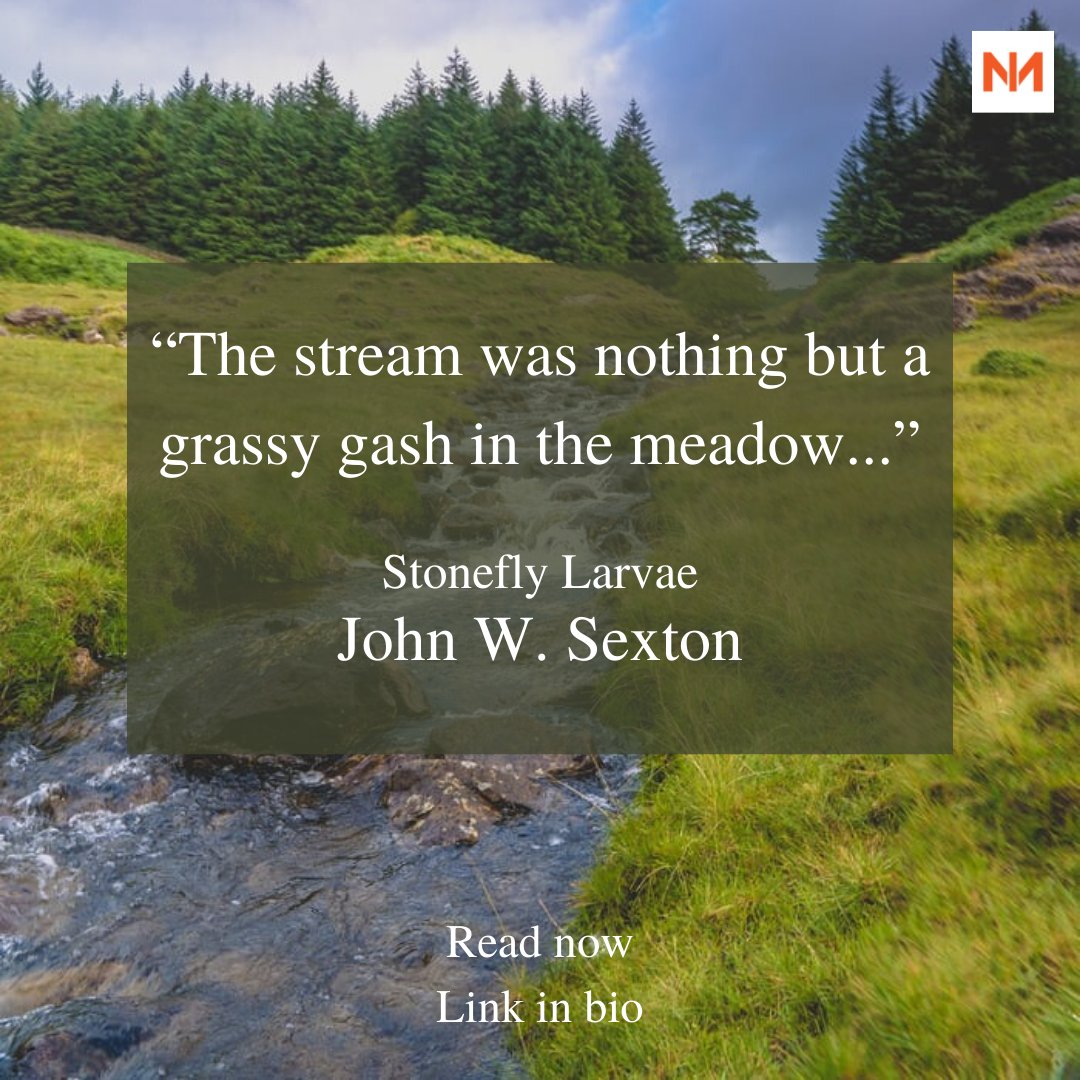theAntonymmag's tweet photo. Read about #JohnWSexton's #childhood #memory in his #poem “#StoneflyLarvae.”
https://t.co/HZRqGxScmp
#theantonym_ #antonymmag #magazine #webzine #writing #globallit #literature #lit #writingcommunity #poetry #poetandpoems #poetrycommunity #poems #threecreaturesfrommortalmemory https://t.co/oGeFs9L9LR