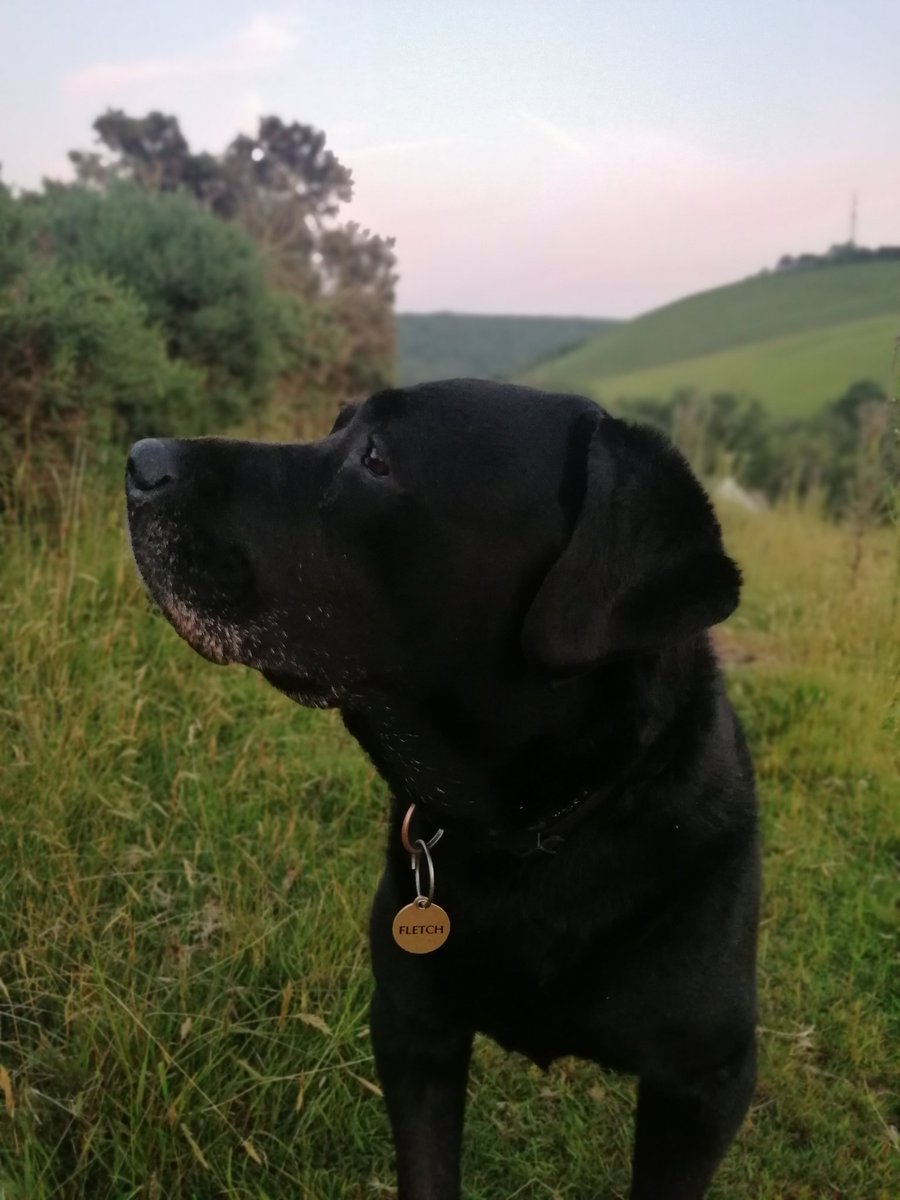Hi Everyone, I'm still here, getting by. Walking isn't the easiest anymore, but I still love walks. I love searching for things still, although not so fast at it