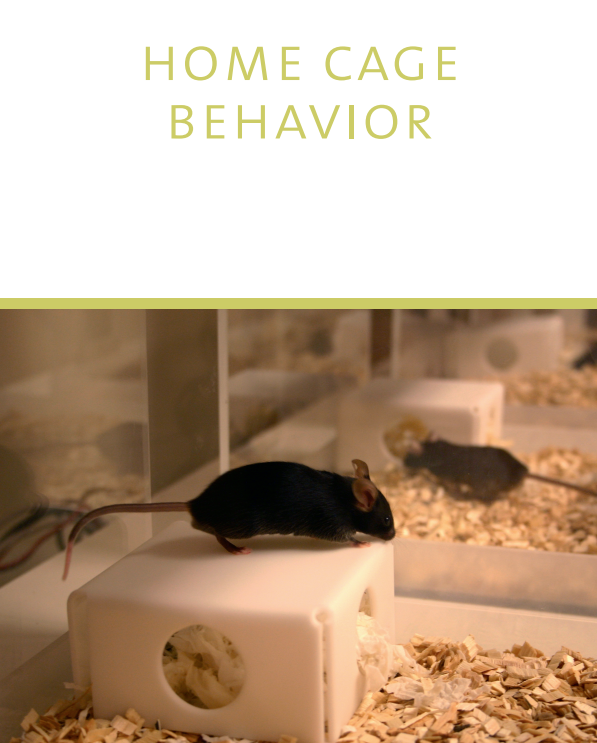 COST_TEATIME's tweet photo. A very useful handbook on basic approaches to behavioral science in rodents including #homecage #monitoring can be downloaded for free at @NoldusIT website:
https://t.co/GZFWZFhyUB

#animalresearch #behavior #knowledgetransfer #guide #book #education https://t.co/pmxIW7dwKZ