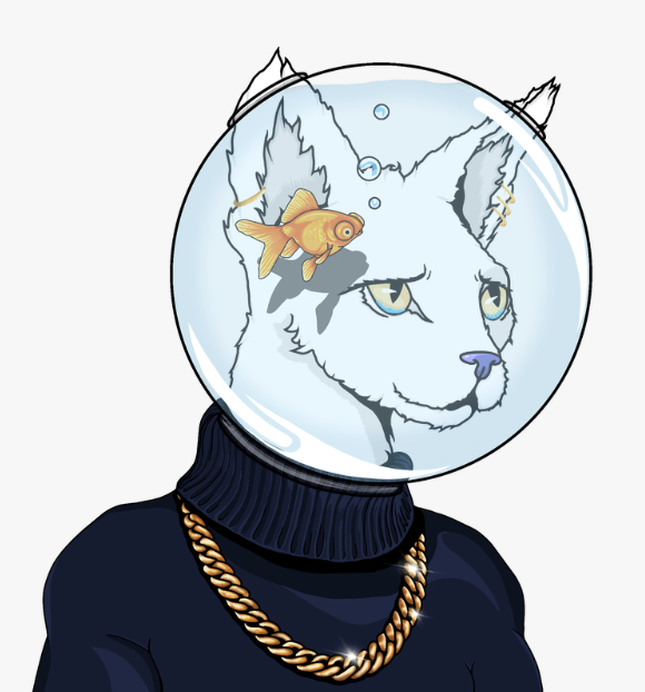 lis_air's tweet photo. Pretty pleased with how my classy 
@DiskoKittiez turned out.

For a chance to win a Disko Kitty NFT, 10 $SOL, and tons of whitelist spots, go make your Disko Kitty here: https://t.co/G9cjKsi3u8 https://t.co/kbdPAIogFI