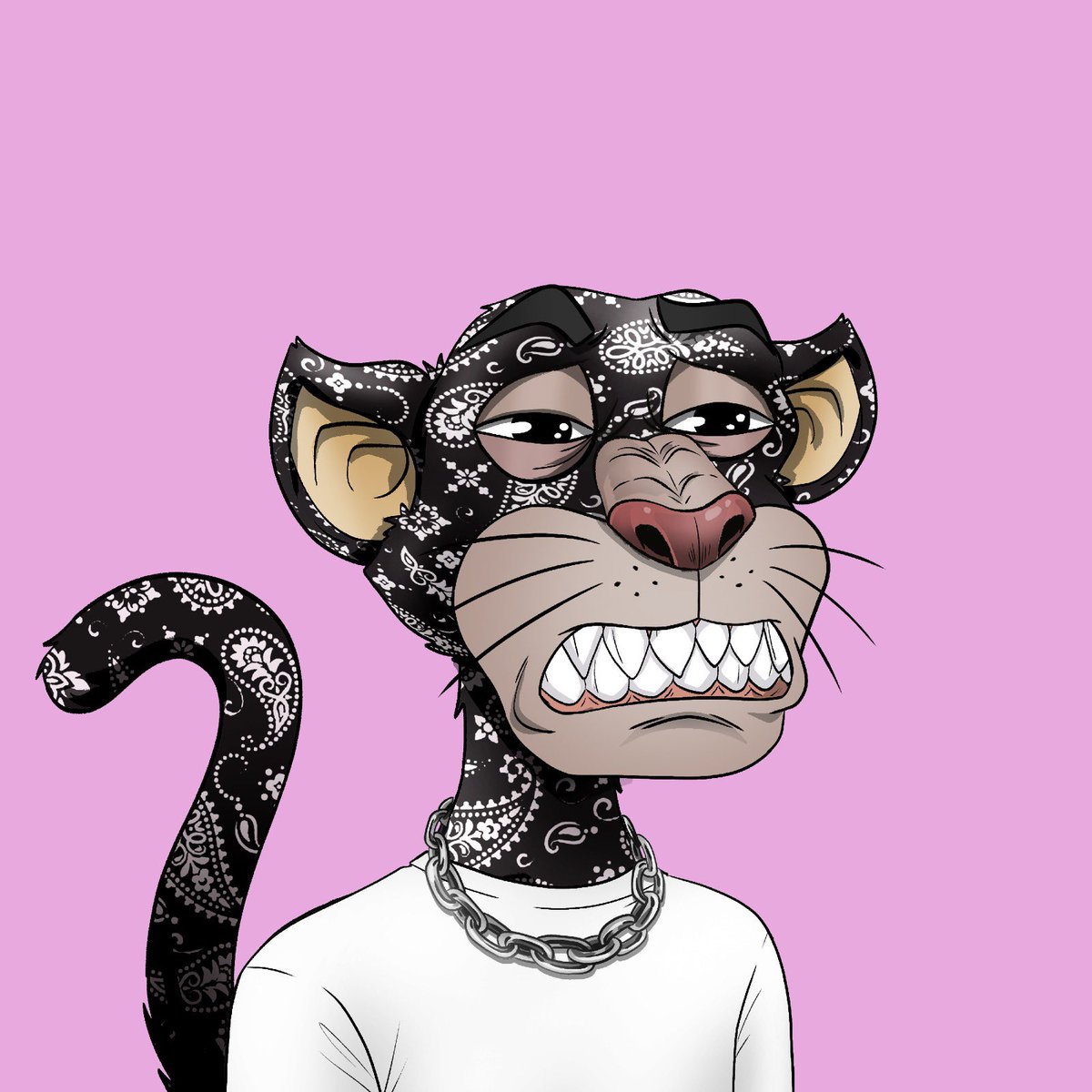 kylestarr101's tweet photo. @Ravers @pantherclub_NFT https://t.co/dqtxN4Ta4T
