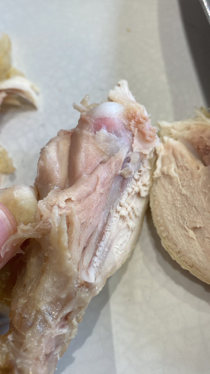 Hey <a href="/Morrisons/">Morrisons</a>. Please can you ask your Kingswinford store to check the temperature probes on their deli counter. Pretty sure a cooked chicken shouldn’t be raw in the middle. Unfortunately I already took a bite, so looking forward to whatever gastric joy that may bring 🤨