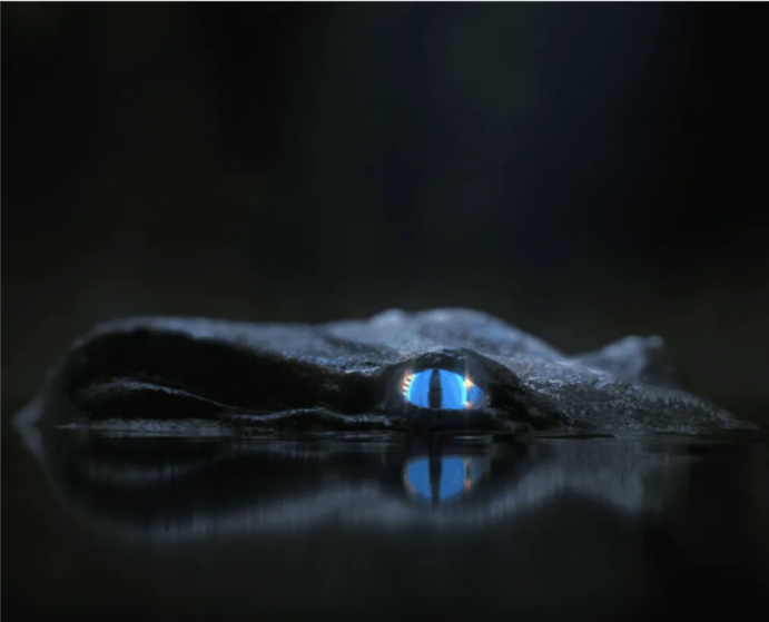 The official Lacoste Discord is the latest big NFT community server to suffer an attack by hackers

#NFTCommunity #lacoste