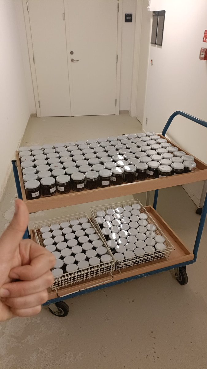 ClimateStressLab (@climatestress) on Twitter photo Visiting PhD student <a href="/SaulMFernandes/">Saúl Fernandes</a> from Vrije University of Amsterdam <a href="/ALIFE_VU/">Amsterdam Institute for Life and Environment</a> conducts his combined effect of drought and pesticide experiments in our lab. It looks going well. 😃 Visiting PhD student <a href="/SaulMFernandes/">Saúl Fernandes</a> from Vrije University of Amsterdam <a href="/ALIFE_VU/">Amsterdam Institute for Life and Environment</a> conducts his combined effect of drought and pesticide experiments in our lab. It looks going well. 😃