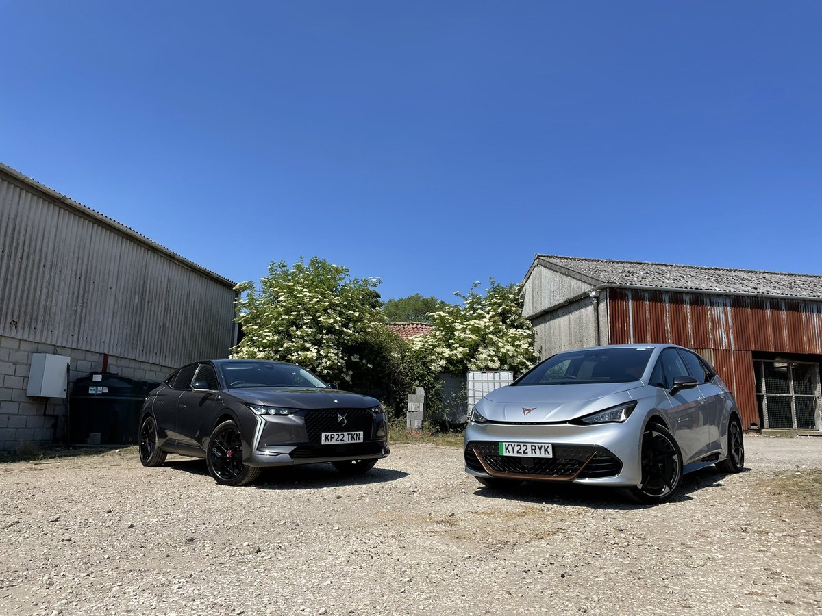 Ted Welford tweet media