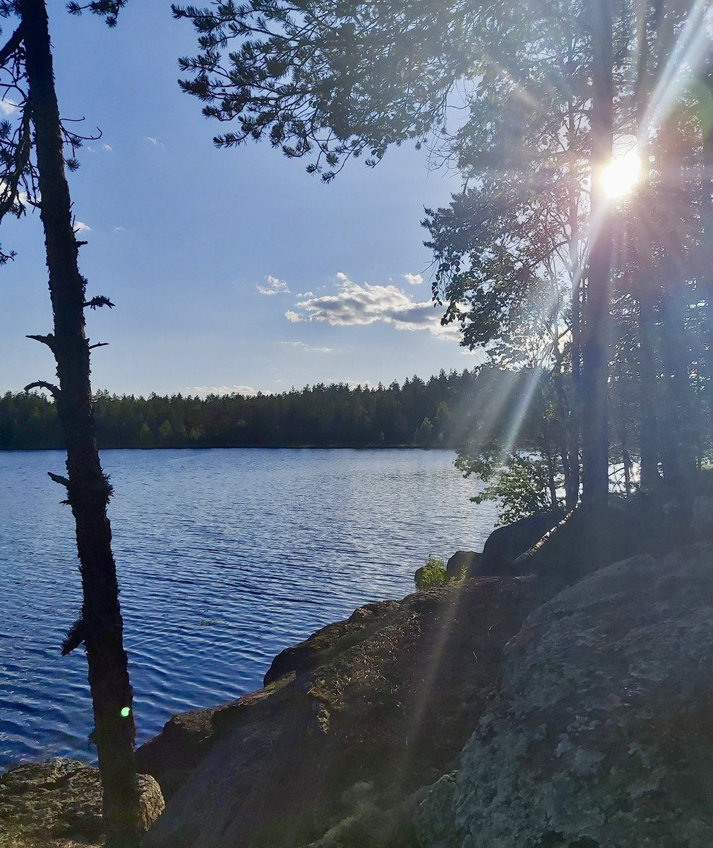 Metsät ovat merkittävässä roolissa ilmastonmuutosta vastaan. Hiilinieluina ne paiskivat tehokkaasti töitä, eli sitovat hiilidioksidia ilmakehästä, ihan joka päivä. Juhannuksenakin. 

Green Carbonin tiimi puolestaan rauhoittuu juhannuksen viettoon. Hyvää juhannusta!🌿

#hiilinielu