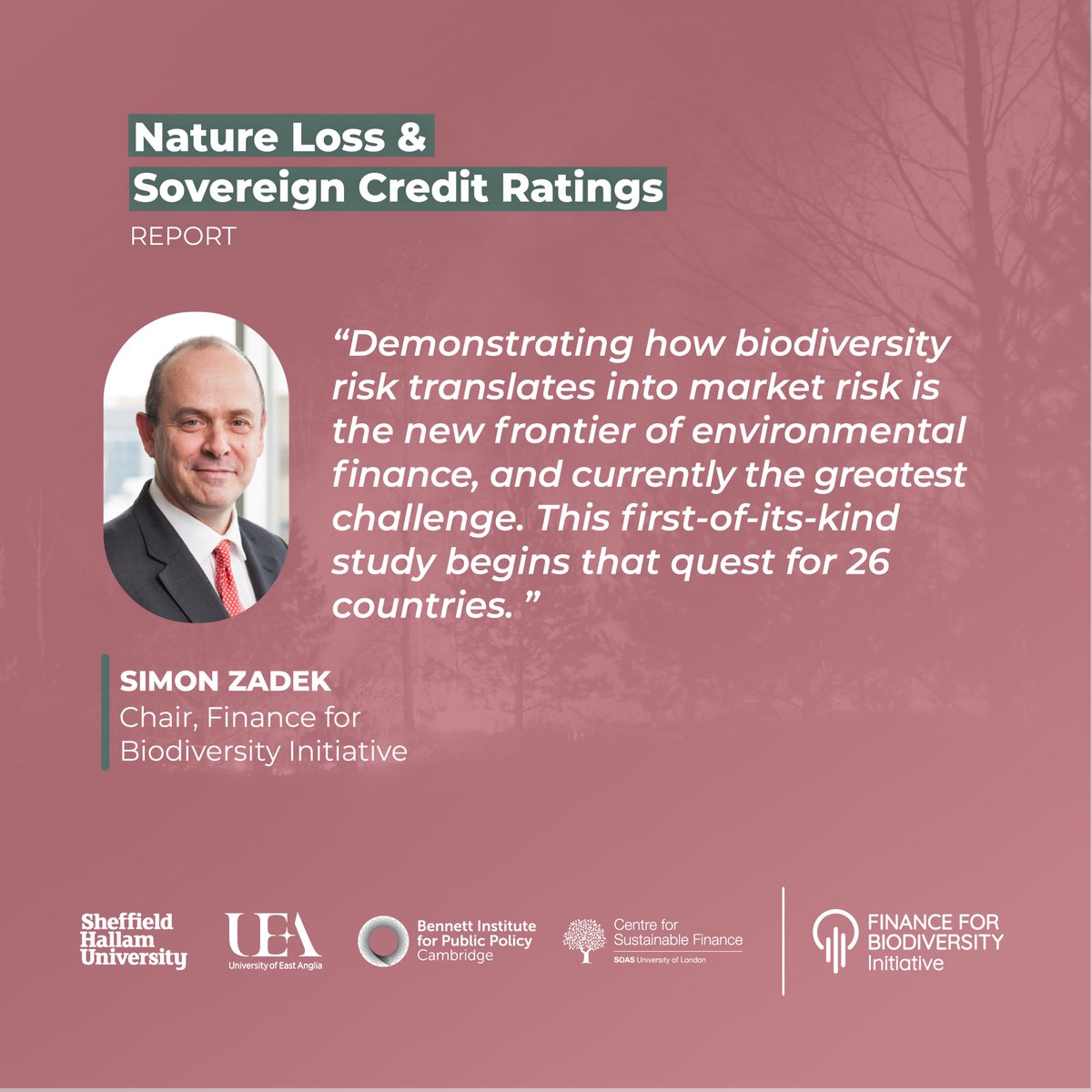 World's first #biodiversity-adjusted sovereign credit rating warns of looming national debt crisis across 26 countries.
#sovereigndebt #naturerisk #sustainableeconomy 