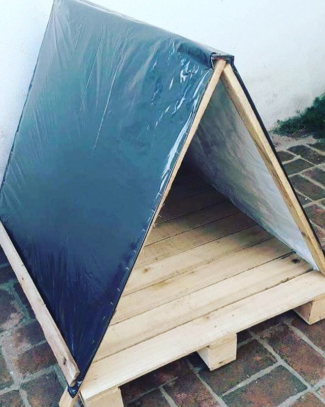 canichones's tweet photo. A vos que tenes el perro a la intemperie,mira que fácil es solucionarlo……… así que agarra 3 PALLETS y ponete a fabricarles una cabaña y no me rompas las pelotas que “no sabes cómo hacer” 

POlaco https://t.co/msdqKutYJp