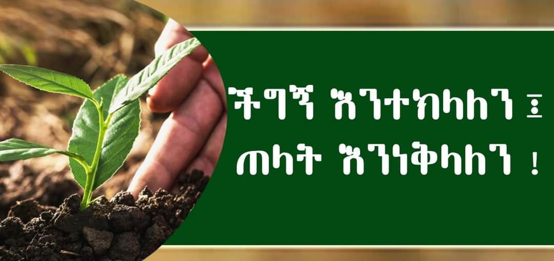 GizachewMulune2's tweet photo. ችግኝ እንተክላለን ጠላቶቻችንን እንነቅላለን!!! https://t.co/Bf8mQIJOgC