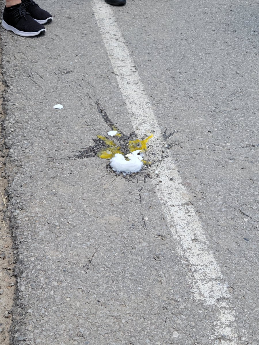 stjuliabilliart's tweet image. The Grade 7 Design Challenge was a huge success! 🪂🥚Well, for the most part... 🍳 #STREAM #EggDropChallenge @YCDSB @laurasawicky @DomenicScuglia