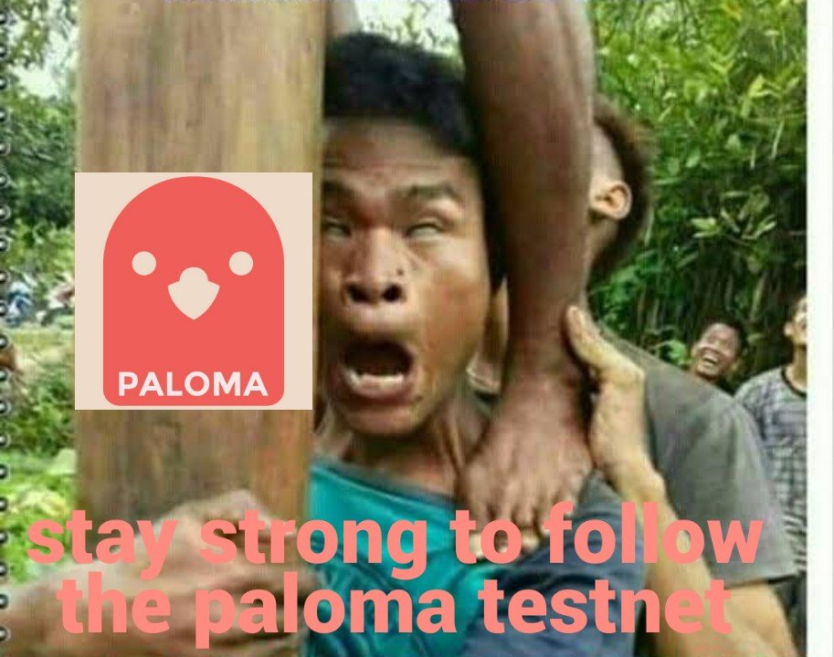 Tatajan09708472's tweet photo. Meme title : Keep Strong
Wallet address : paloma1w4g6pccff7vnw5udfgajrx68wc96puw7zu23cu

@paloma_chain https://t.co/shVYnAwOZa