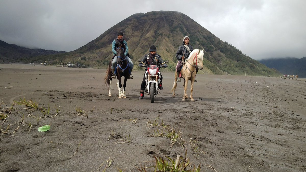 Y_Hidayat_'s tweet photo. Aku beruntung ketika berpose dgn mas2 berkuda di Bromo,  sebab jangankan minta bayaran, yg ada malah aku dikasih rokok sebatang oleh mas nya.🙂☕ #bromo https://t.co/wzM67aaL5V
