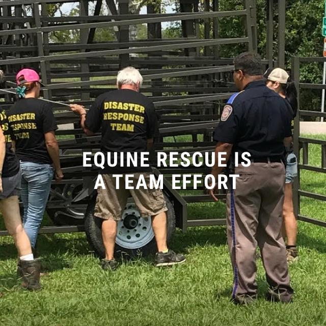 Habitat for Horses tweet media