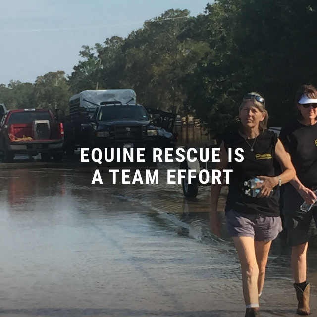 Habitat for Horses tweet media