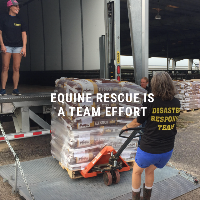 Habitat for Horses tweet media