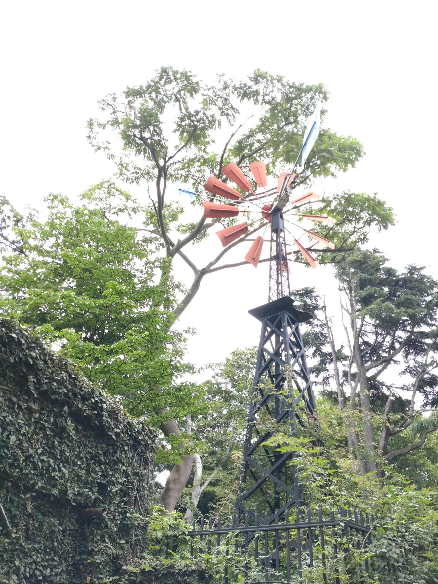 かお フランス山は 山判定になりませんでした たくさん階段登ったのに ピクミンブルーム フランス山 横浜 元町 T Co Twm8abf2uk Twitter