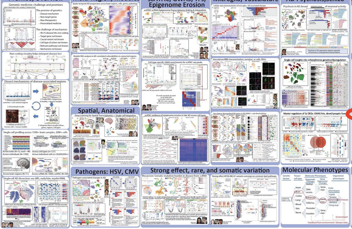 Dr. Sabrina Green, PhD tweet media