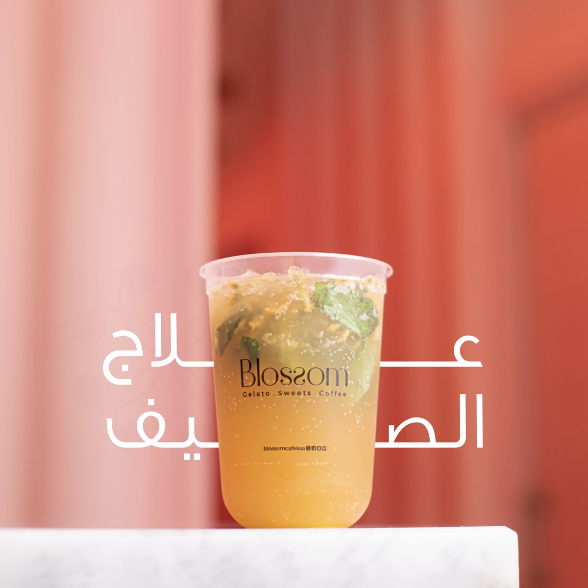 Blossom Cafe KSA tweet media