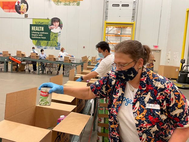 Capgemini celebrates annual Cares Day