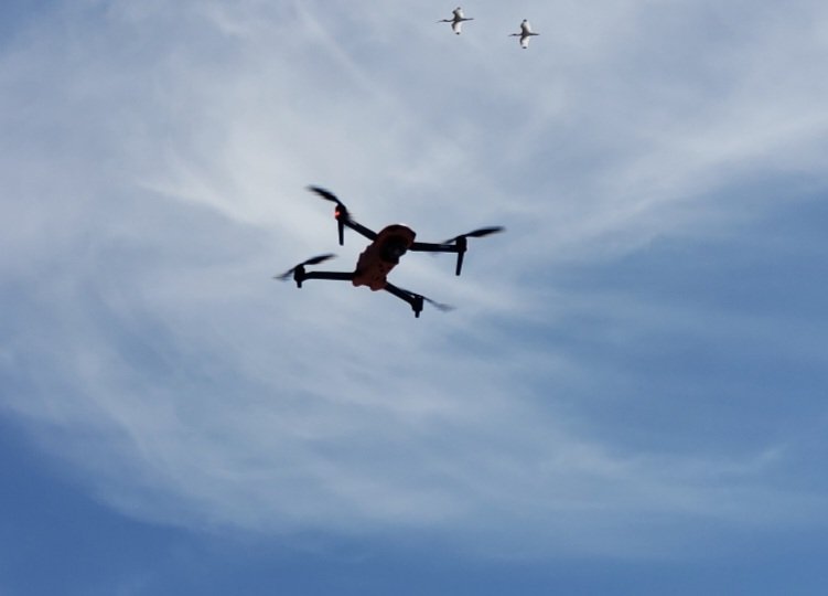 virtualizeitllc's tweet photo. #Birdseyeview
#Flyinghighinthesky 
#AutelEvo2
#Dronepilots follow #FAArules or you may get fined: 
#Max400feet
#Max100mph
#Getauthorization
#dronelife
#centralfloridaphotography
Link to the rules
https://t.co/EGQ9GOFa3q https://t.co/SaCiqqgzwS
