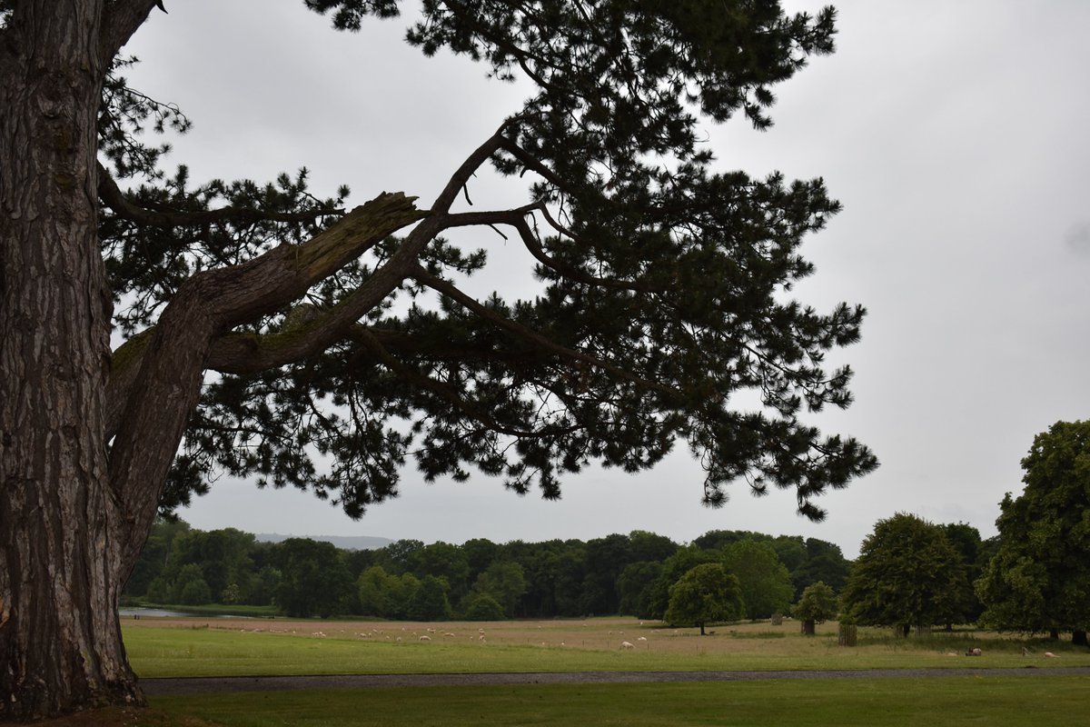 We are #recruiting a Welcome and Service Assistant to work across Herefordshire. 

In this role, support with the delivery of inspiring programming and events at our places, and promoting the work we do through creative digital content.
 
bit.ly/3QUy5Ar

#dreamjob