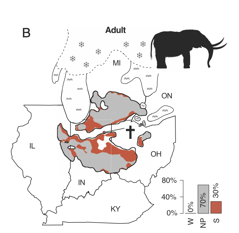 PeterBrannen1's tweet photo. Wanted to write about this research since I saw @paleojosh give an amazing talk on it at @geosociety  meeting. Fossils can seem timeless &amp; static, but this one had a biography written in bone, one that illuminated midwest as home to migrations of megafauna https://t.co/IGpJzuQPXP https://t.co/0GpftqJ4TI
