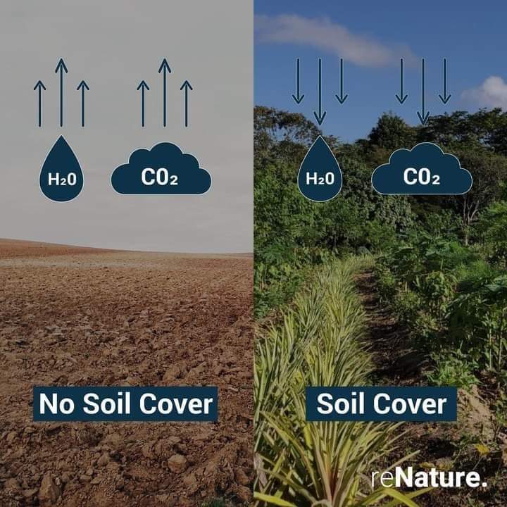 SARA (@tobiwithme) on Twitter photo <a href="/Libero_official/">Quotidiano Libero</a> Ben oltre 3 miliardi di persone sono state risvegliate dal Movimento Globale savesoil.org/it Un dovere generazionale. I tempi sono maturi <a href="/Luca_Mercalli/">Luca Mercalli</a> <a href="/Libero_official/">Quotidiano Libero</a> Ben oltre 3 miliardi di persone sono state risvegliate dal Movimento Globale savesoil.org/it Un dovere generazionale. I tempi sono maturi <a href="/Luca_Mercalli/">Luca Mercalli</a>