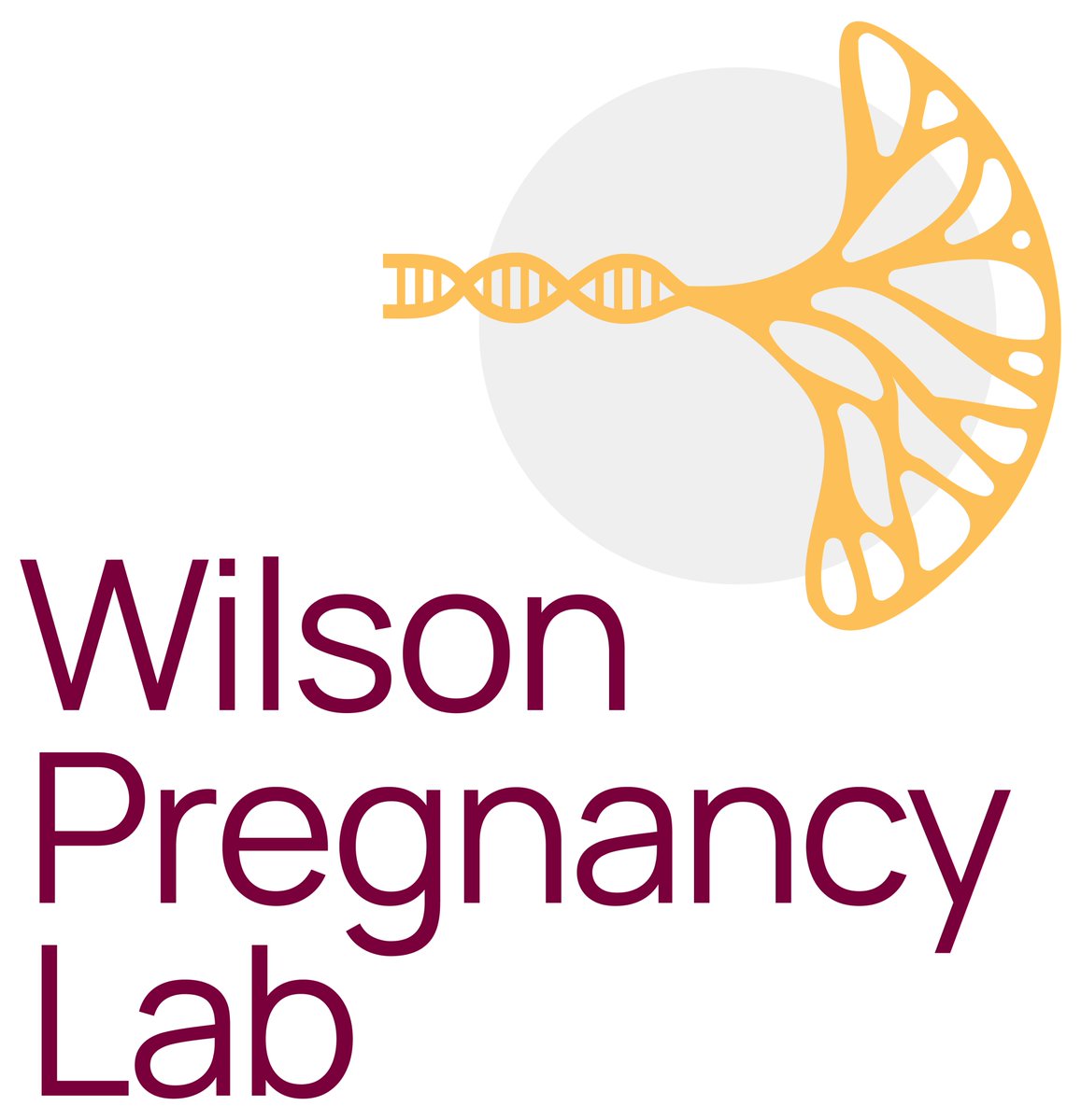 With about a week until I start my #newPI journey <a href="/McMasterOBGYN/">McMaster Obstetrics and Gynaecology</a> <a href="/machealthsci/">McMaster Health Sciences</a>, the Wilson lab logo is ready to go! 

Are you an undergrad or prospective grad student interested in #genomics, #epigenomics, #placenta, #cfDNA, #compbio, please reach out!