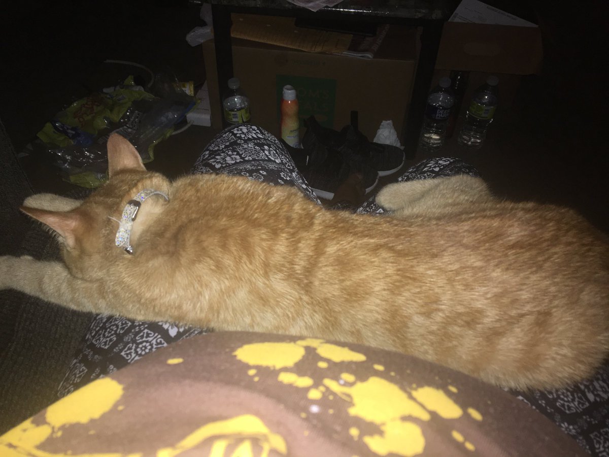 Yolanda was sleeping.