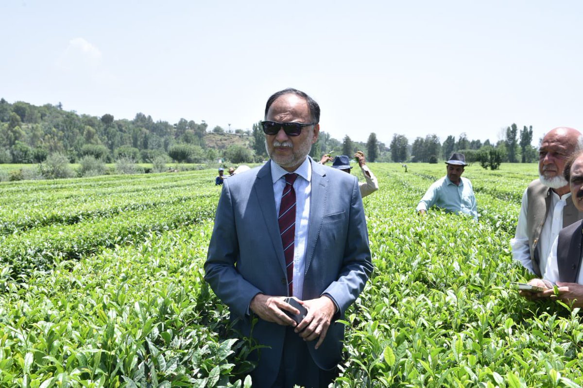 betterpakistan tweet picture