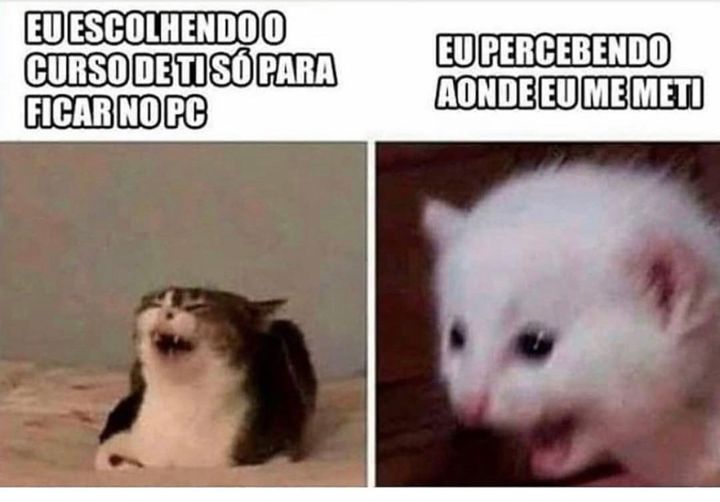tidadiversao's tweet photo. ✅ Siga, Curta, comente ou marque alguém
#dev #development #developer #sql #Java #javascript #python #computer #windows #linux #mac #ios #IT #sistemas #software #html #webdev #developer #internet #web #programacao #js #tecnologia #css #aws #reactjs #node #dicasdeti #100DaysOfCode https://t.co/N8osc8JnAT