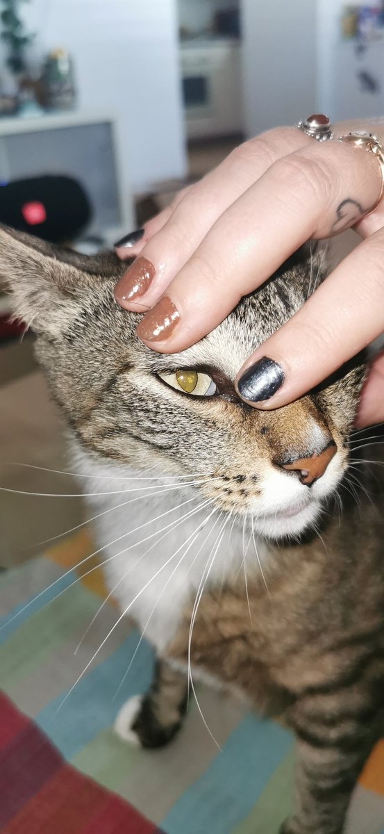 SneezyFey's tweet photo. Approved! @holotaco @nailogical https://t.co/s36J08xXi6