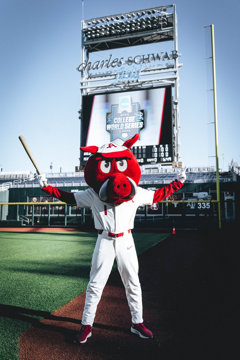 RibbyRazorback's tweet photo. This one’s for ARKANSAS ✊ https://t.co/u9k98F7E3w