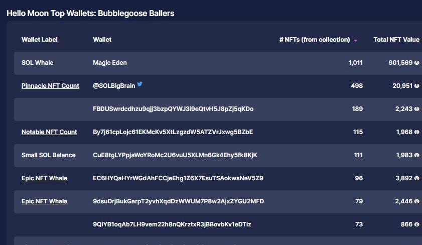 HelloMoon_io's tweet photo. Feel like the world doesnβt understand that @SOLBigBrain owns 500 @BubblegooseXYZ π€π€
Source: https://t.co/yD4m8Ntnle https://t.co/yJlpF37Qs5