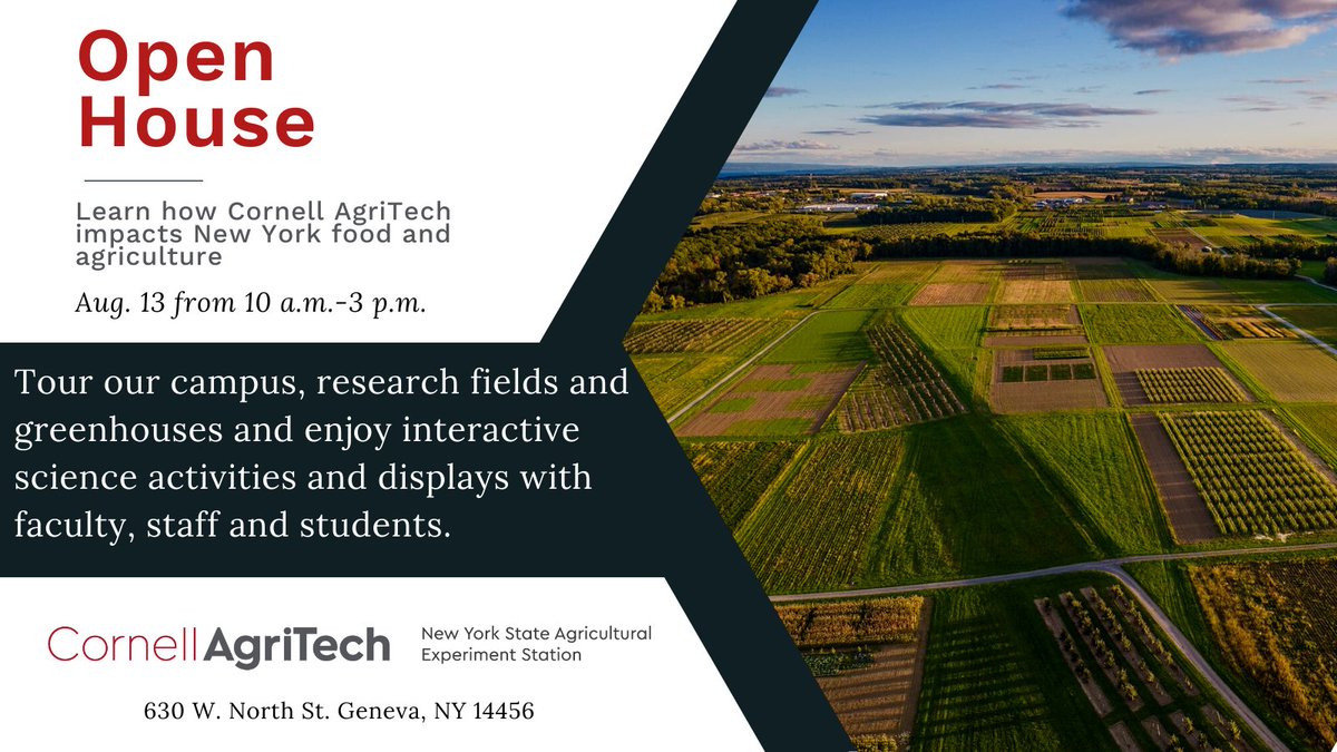 CornellAgriTech's tweet photo. We're celebrating our 140th anniversary this year and to celebrate, we're opening our doors to the public on Aug. 13. Learn all about the science on our campus that makes New York state food, craft beverages and agriculture a success. https://t.co/BbuEYhrYFg https://t.co/FKPoSEAQgI