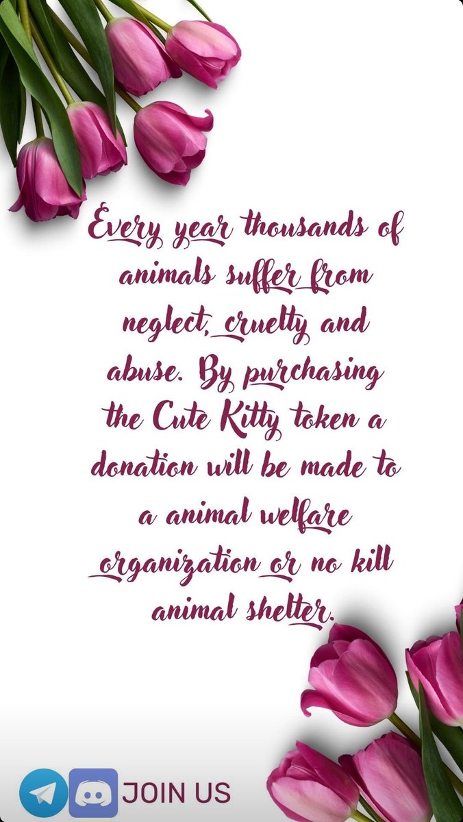 cutekittyorg's tweet photo. Spread Love support us❤️✨
#loveislove #followlove #cutekittyorg #cutekitty https://t.co/s3Id7lcWii