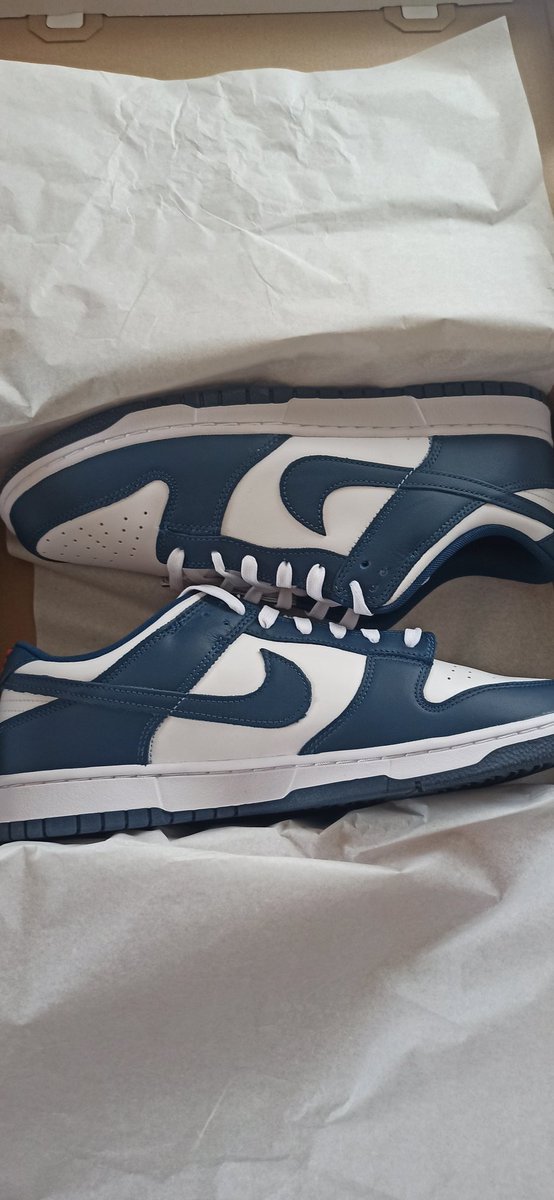 highhighaf's tweet photo. Nike Dunk Low Valerian Blue https://t.co/qllKc6R5Su