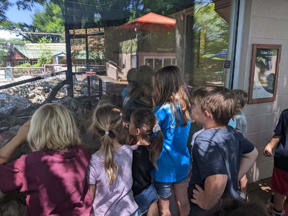 MillMountainZoo's tweet photo. The first week or our #summercamps is winding down, and everyone had a great time and learned a lot! A special thank you goes out to our very busy keeper staff for taking time out of their hectic days to talk to the campers! #summercamp #learningisfun #zoocamp #roanoke #mmzoo https://t.co/TNQsyUdEve