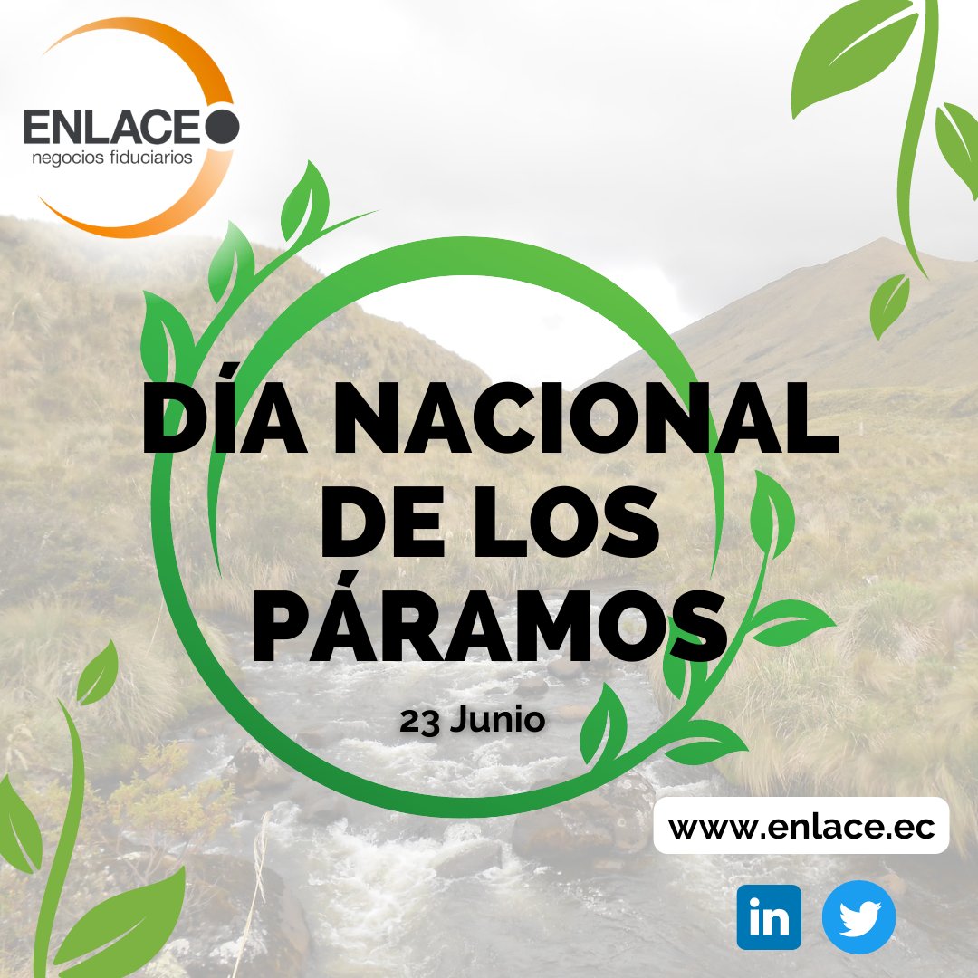 EnlaceNF's tweet photo. La conservación de los páramos en Ecuador es importante por cuanto en estos se genera buena parte del recurso hídrico que consumimos. #JuntosPorLosPáramos 💪
23 de junio #DíaNacionalDeLosPáramos 🏔️
@fonag @aguadequito  
#FideicomisoAdministracion
#MedioAmbiente https://t.co/z632vY7GoC
